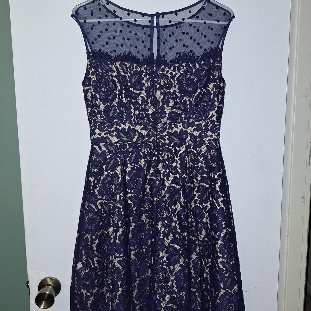 Eliza J Navy and Cream Lace Midi Dress